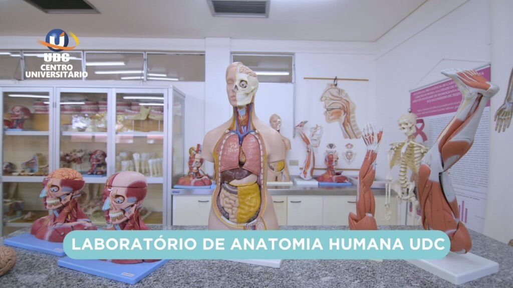 Laboratório de Anatomia Humana