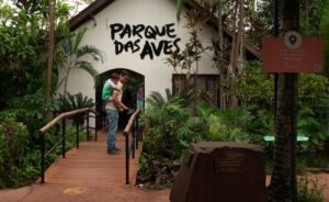 Com gratuidade para pais brasileiros, Parque das Aves é a melhor opção para o final de semana do Dia dos Pais