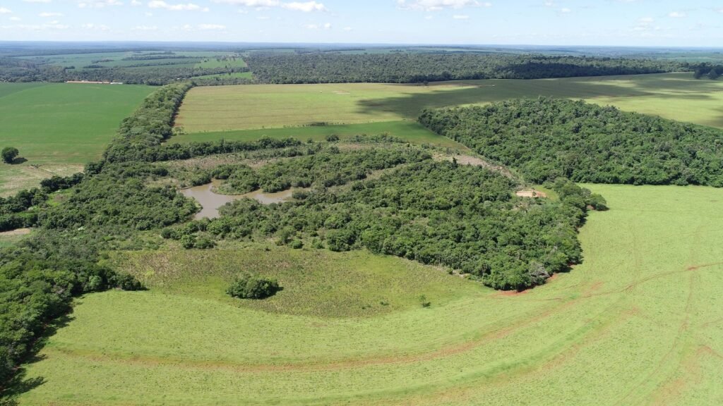 Corredor de Biodiversidade e RPPN Santa Maria. Foto: Alexandre Marchetti/Itaipu Binacional